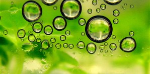 Biofuels